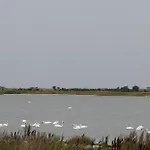 Rannamaja Holiday home