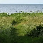 Rannamaja Türju